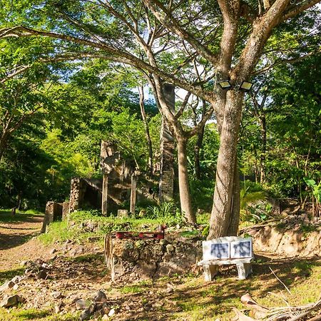 Canton SuisseMartinique Treehouse别墅 外观 照片