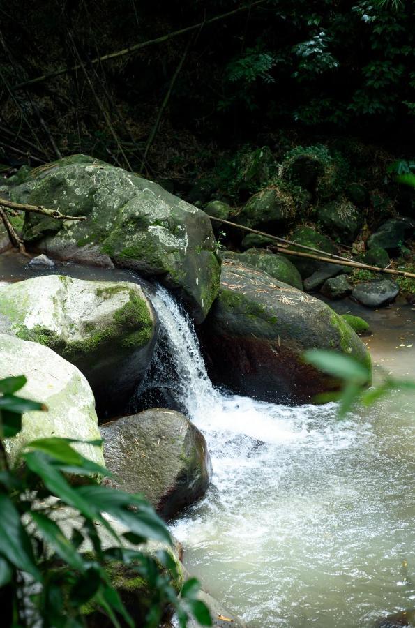 Canton SuisseMartinique Treehouse别墅 外观 照片