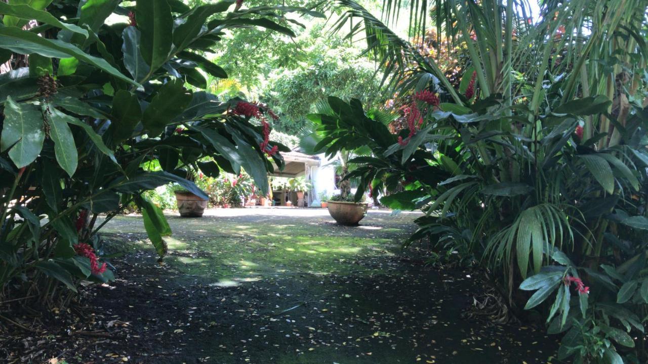 Canton SuisseMartinique Treehouse别墅 外观 照片