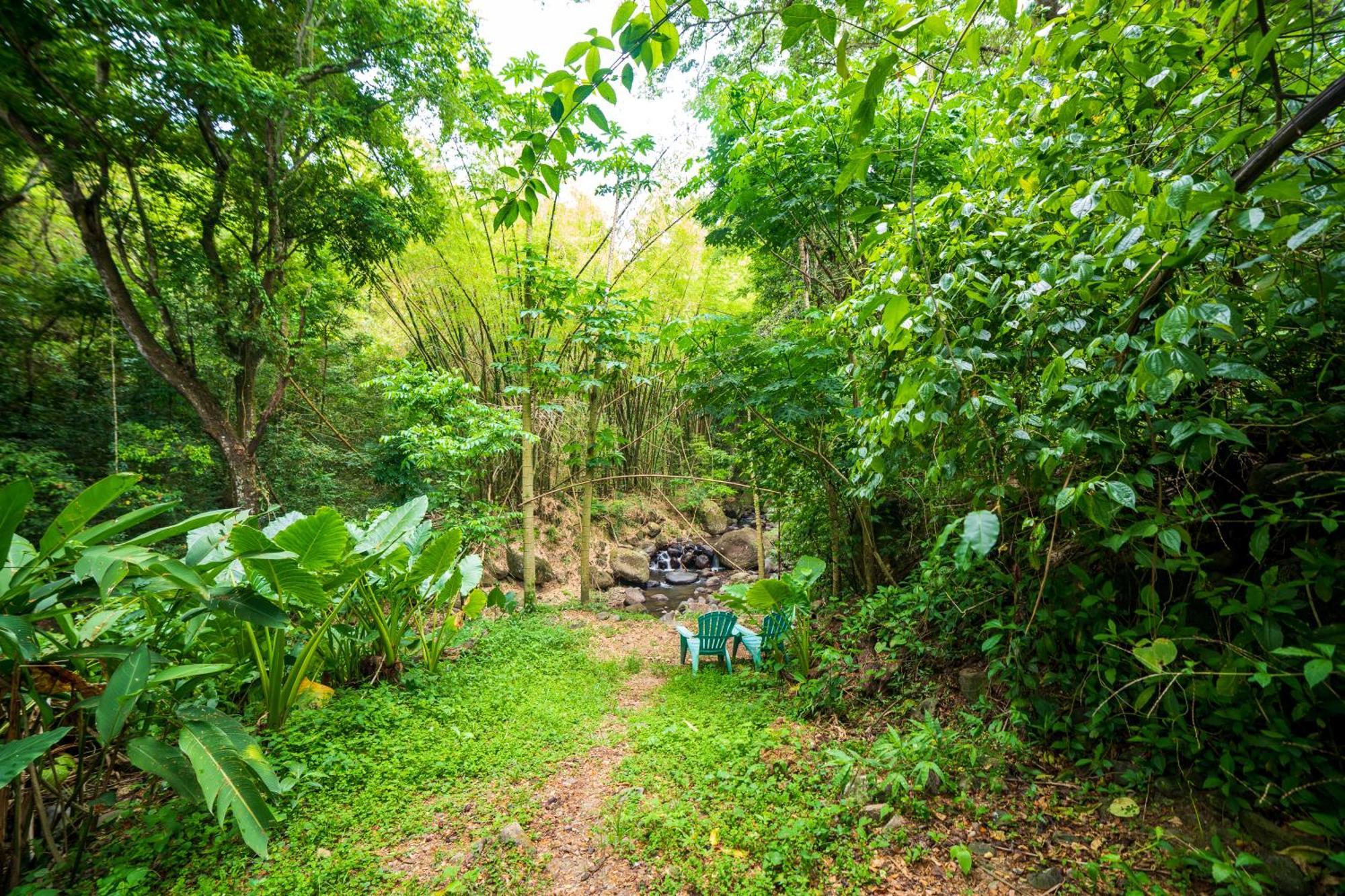 Canton SuisseMartinique Treehouse别墅 外观 照片