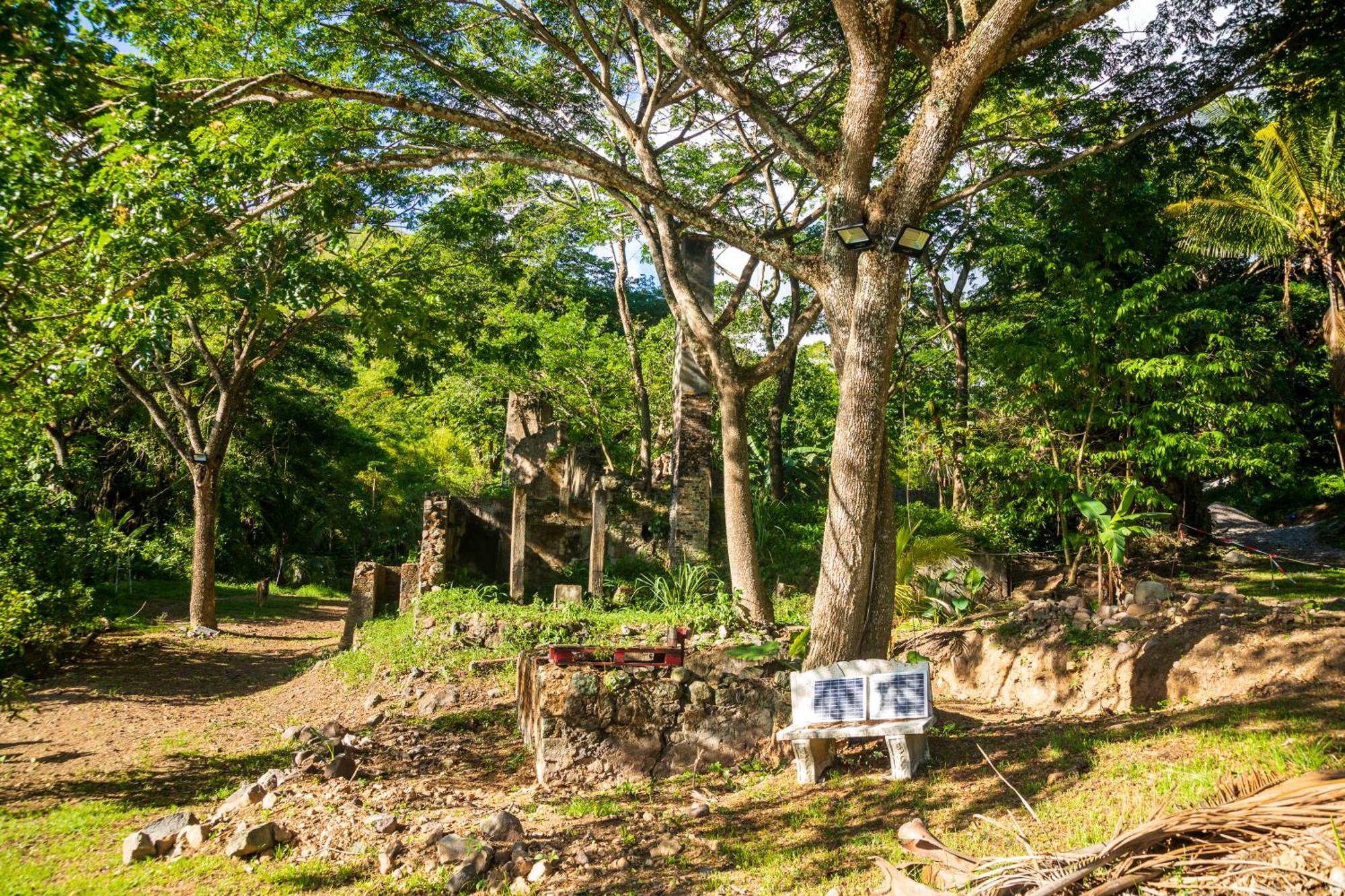 Canton SuisseMartinique Treehouse别墅 外观 照片