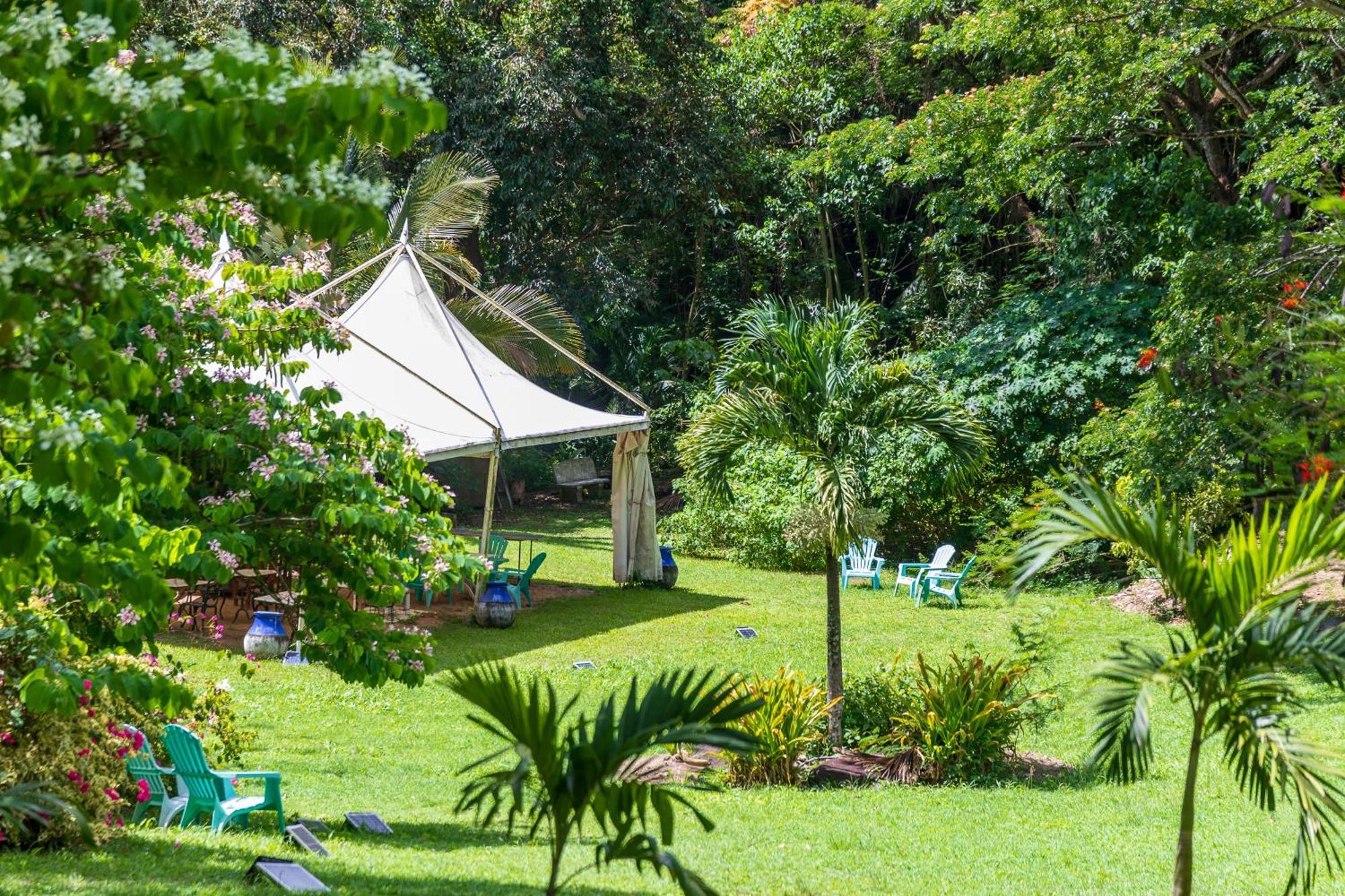 Canton SuisseMartinique Treehouse别墅 外观 照片