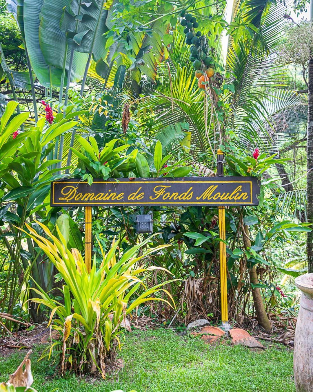 Canton SuisseMartinique Treehouse别墅 外观 照片