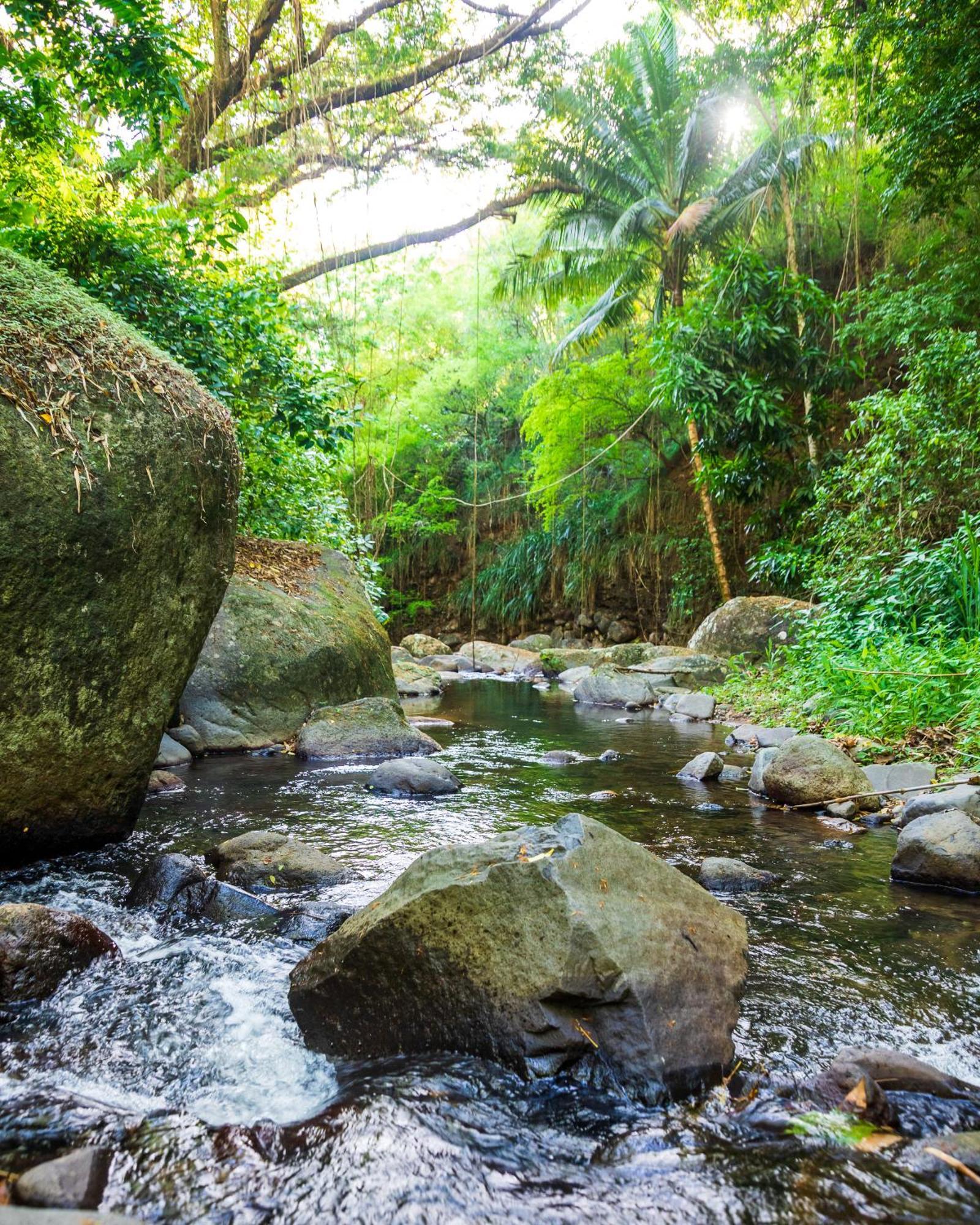Canton SuisseMartinique Treehouse别墅 外观 照片