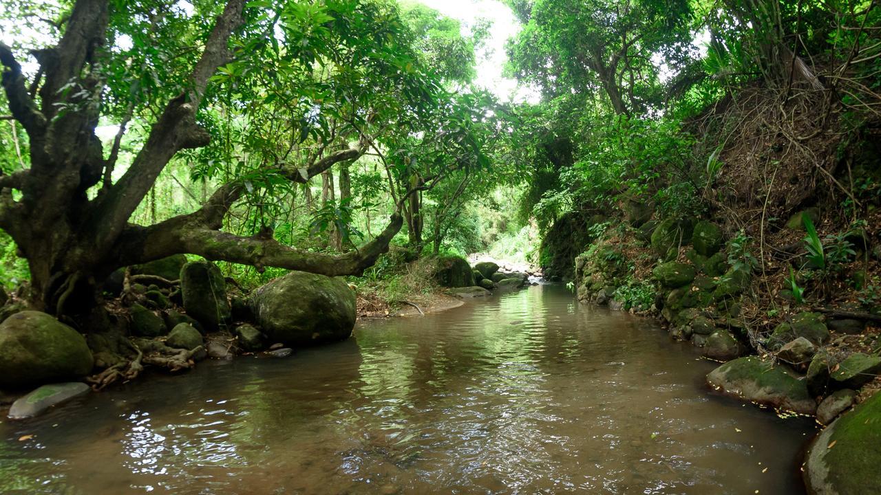 Canton SuisseMartinique Treehouse别墅 外观 照片