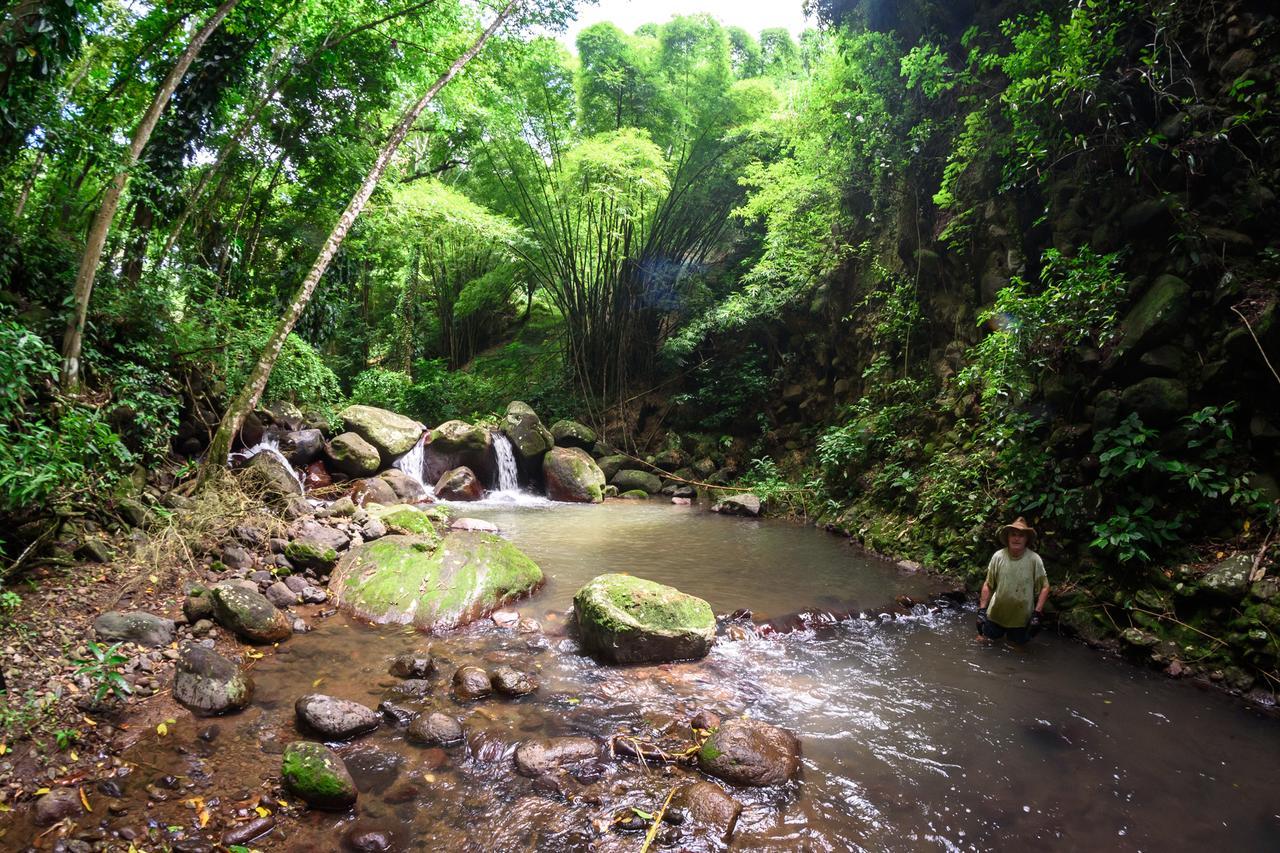 Canton SuisseMartinique Treehouse别墅 外观 照片