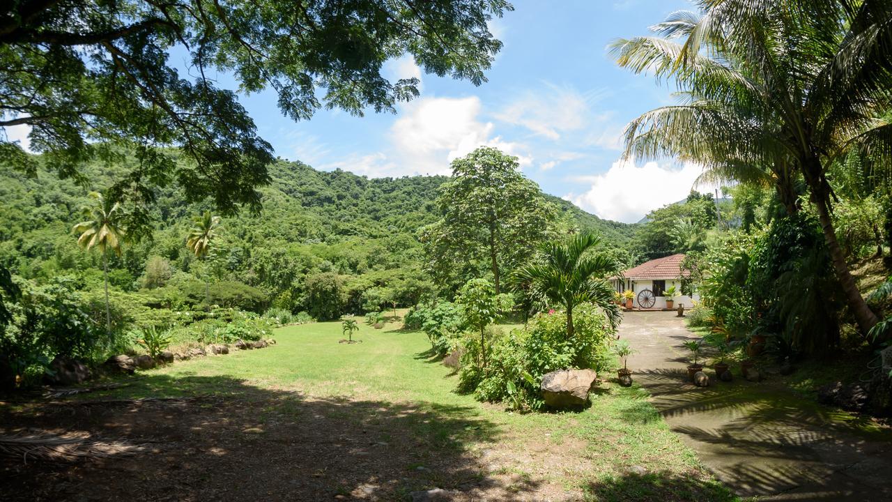 Canton SuisseMartinique Treehouse别墅 外观 照片