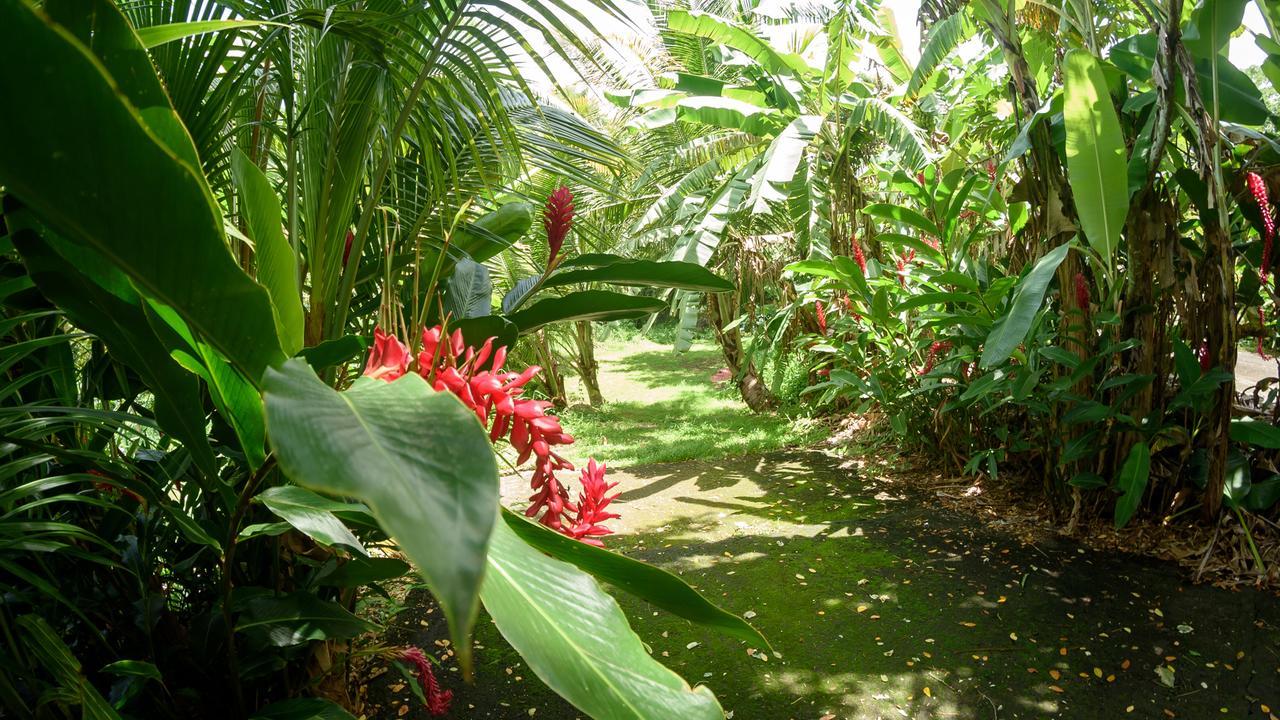 Canton SuisseMartinique Treehouse别墅 外观 照片