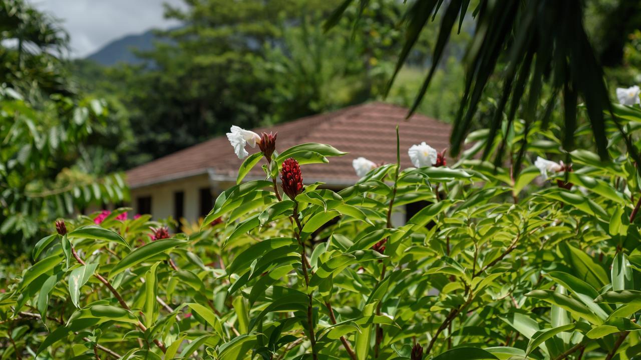 Canton SuisseMartinique Treehouse别墅 外观 照片