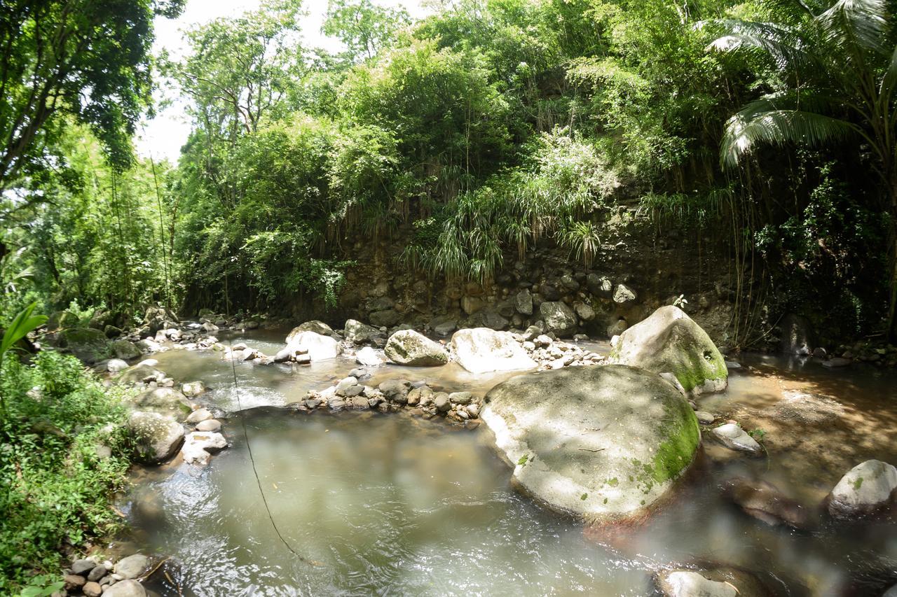 Canton SuisseMartinique Treehouse别墅 外观 照片