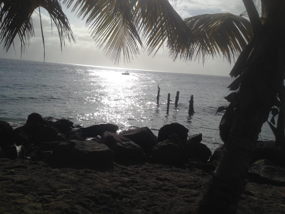 Canton SuisseMartinique Treehouse别墅 外观 照片