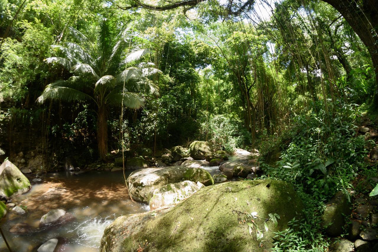 Canton SuisseMartinique Treehouse别墅 外观 照片