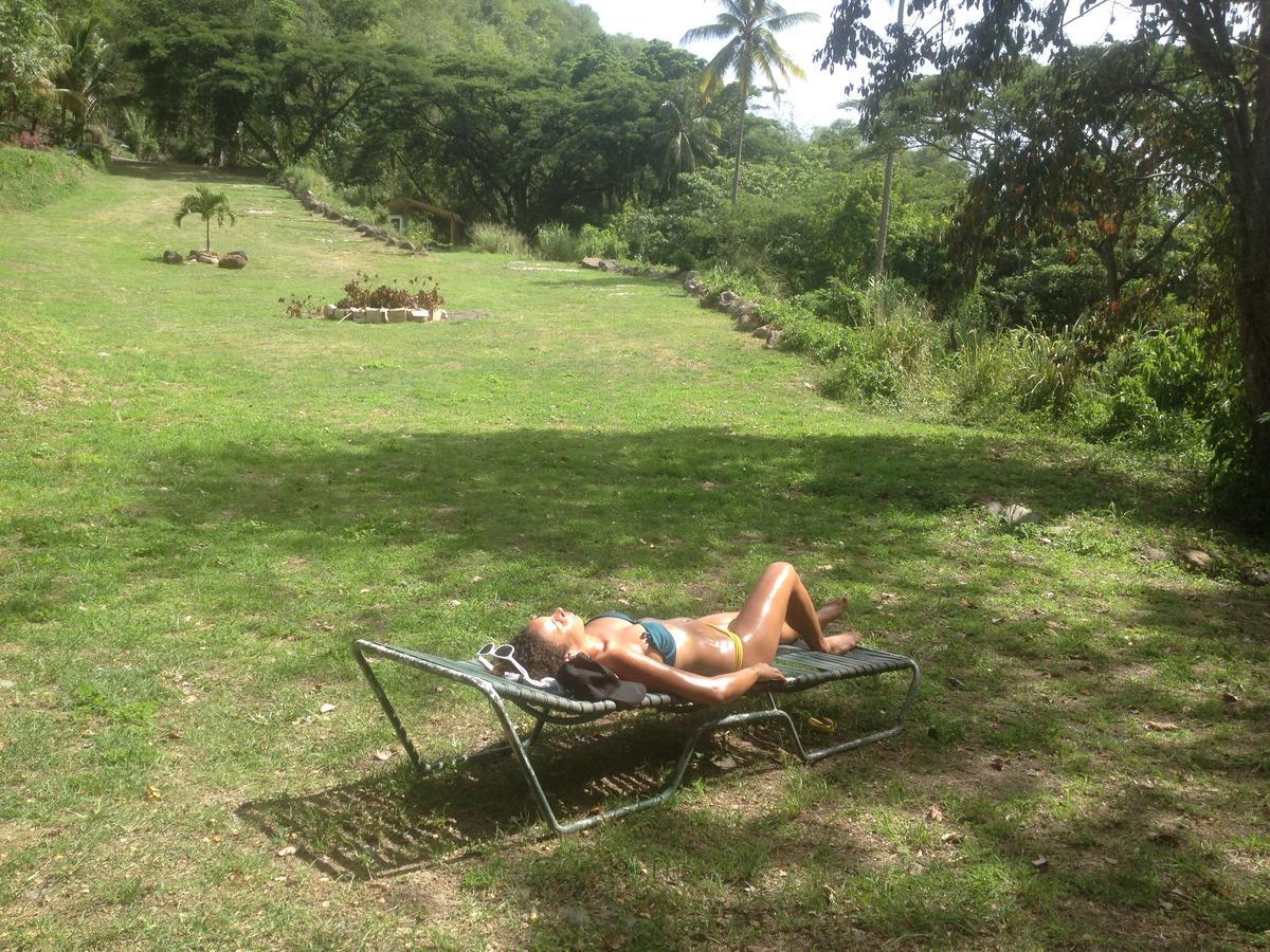 Canton SuisseMartinique Treehouse别墅 外观 照片