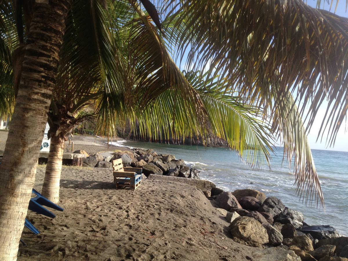Canton SuisseMartinique Treehouse别墅 外观 照片