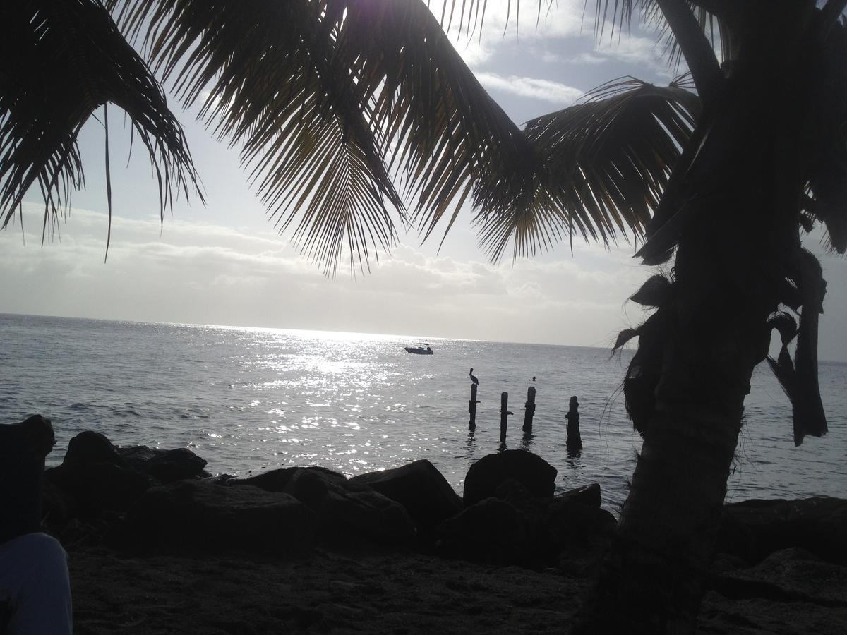 Canton SuisseMartinique Treehouse别墅 外观 照片