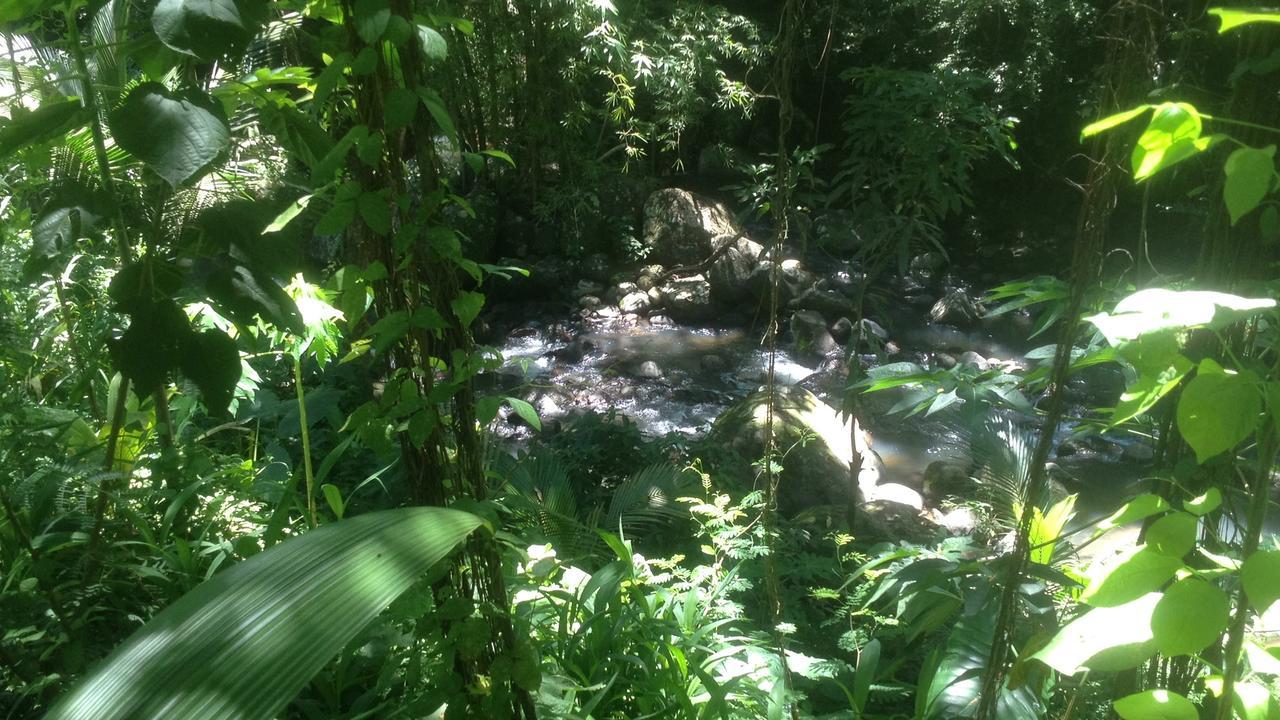 Canton SuisseMartinique Treehouse别墅 外观 照片