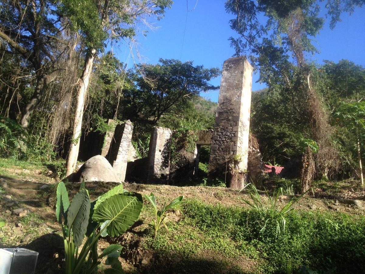 Canton SuisseMartinique Treehouse别墅 外观 照片