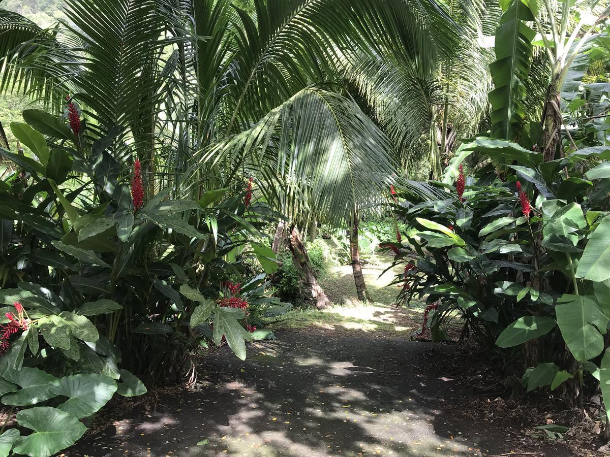 Canton SuisseMartinique Treehouse别墅 外观 照片