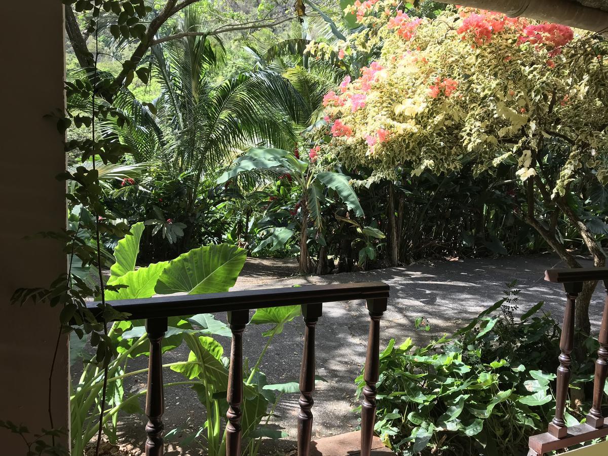 Canton SuisseMartinique Treehouse别墅 外观 照片
