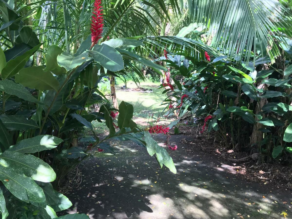 Canton SuisseMartinique Treehouse别墅 外观 照片