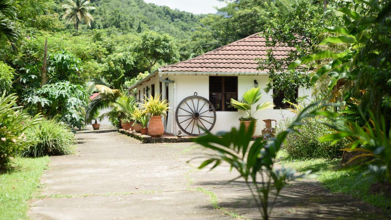 Canton SuisseMartinique Treehouse别墅 外观 照片